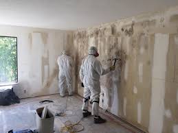 Best Real Estate Mold Inspection  in Elmont, NY